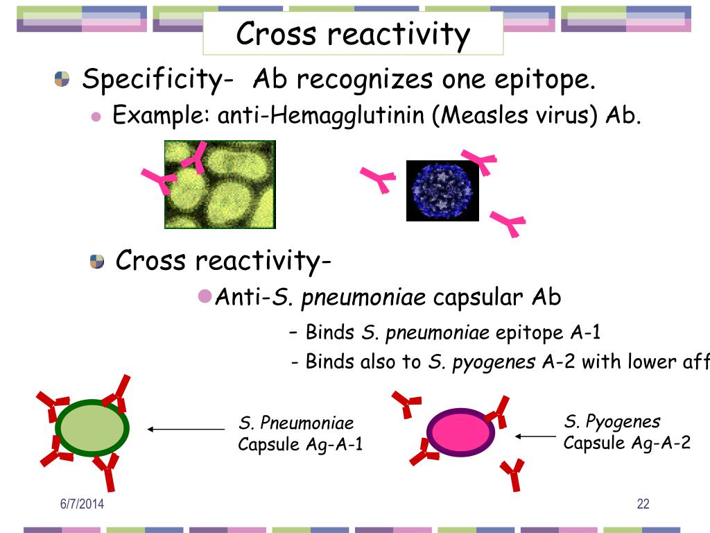 black pepper allergy cross reactivity black pepper allergy cross reactivity