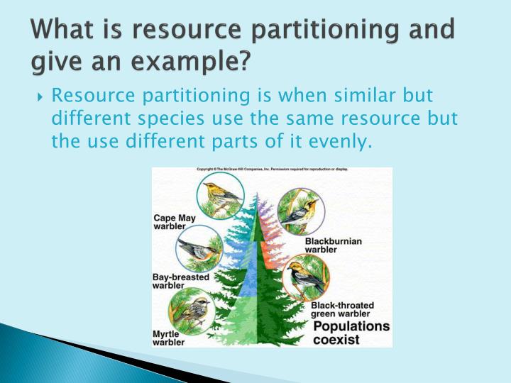 PPT - Biodiversity (topic1-2) PowerPoint Presentation - ID:1358241