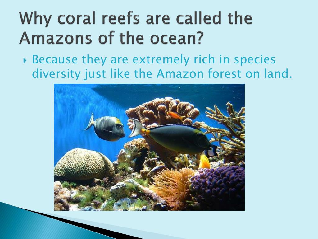 what are three types of symbiosis and what do they mean