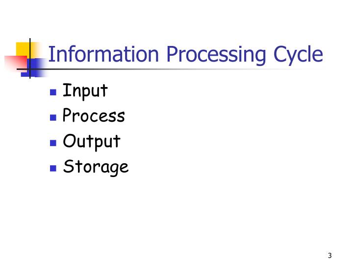 input processing cycle