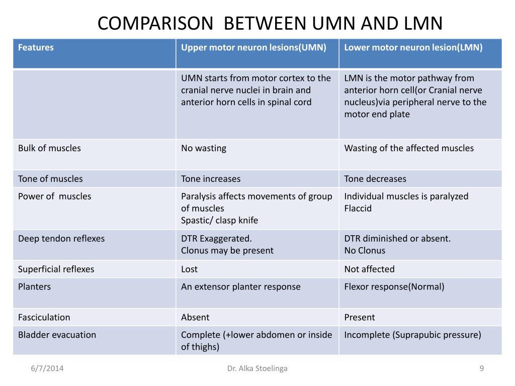 Compare between. UMN and LMN. Difference between spastic and flaccid Paralysis. Sign of UMN vs LMN. Feature Comparison Template.