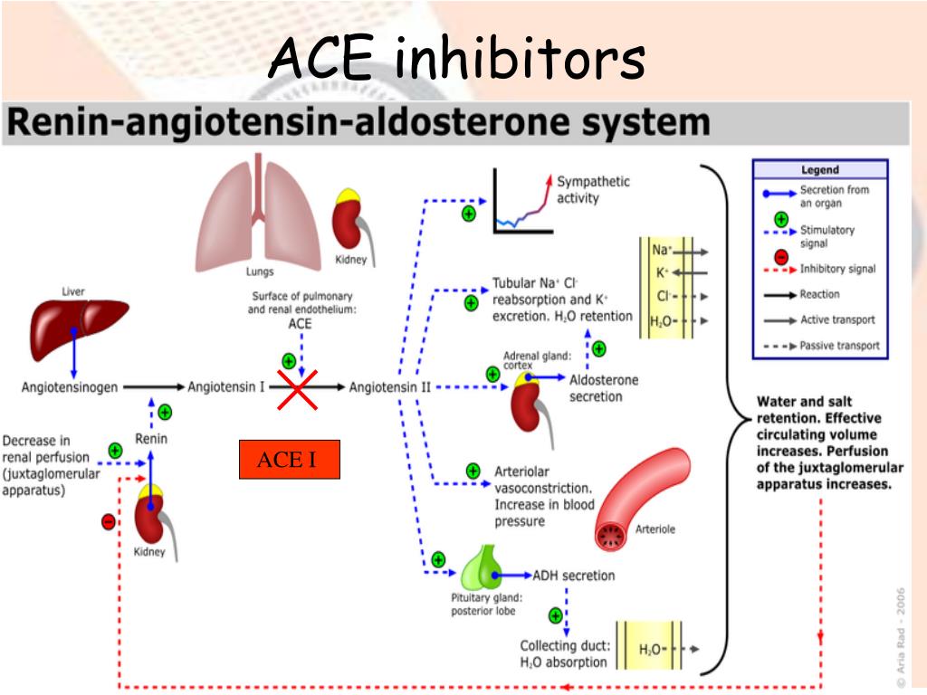 can ace inhibitors cause hypertension