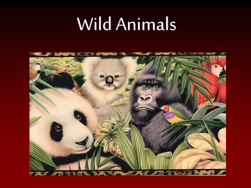 PPT Wild Animals PowerPoint Presentation, free download