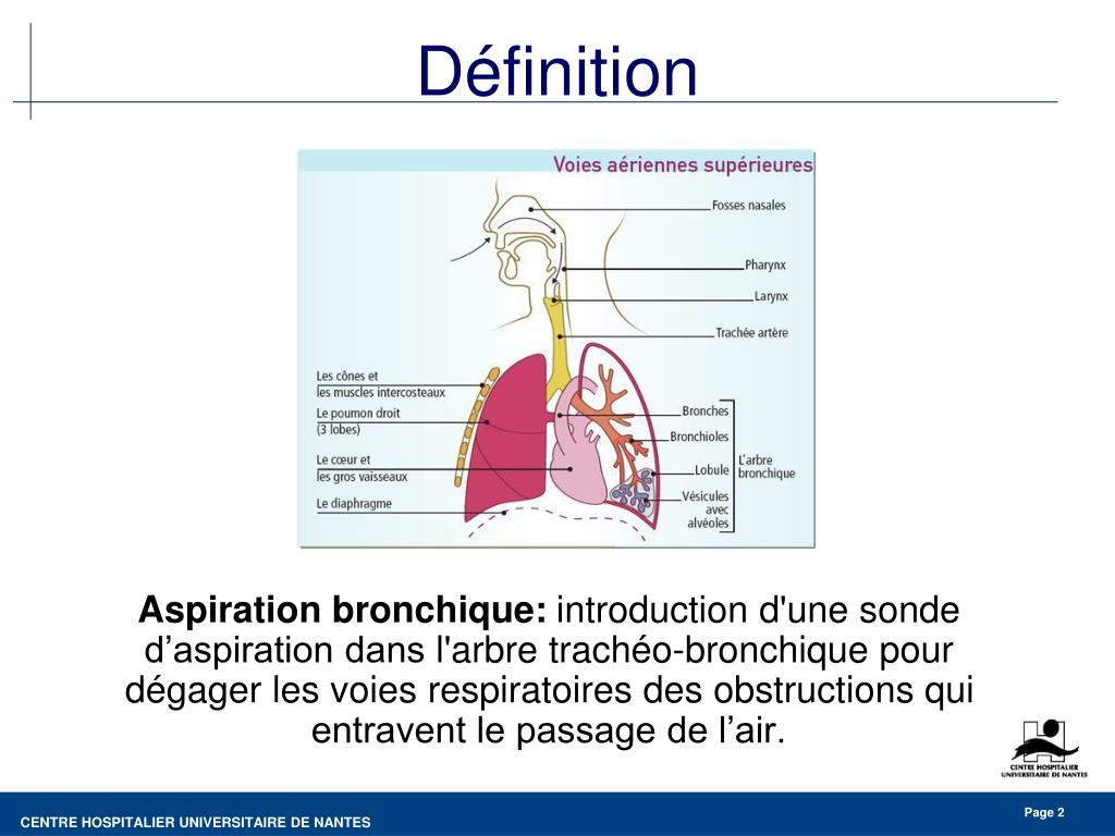 PPT - Recommandations pour la pratique de l'aspiration trachéo-bronchique  Céline BOURIGAULT Unité de Gestion du Risque Infect PowerPoint Presentation  - ID:1360716
