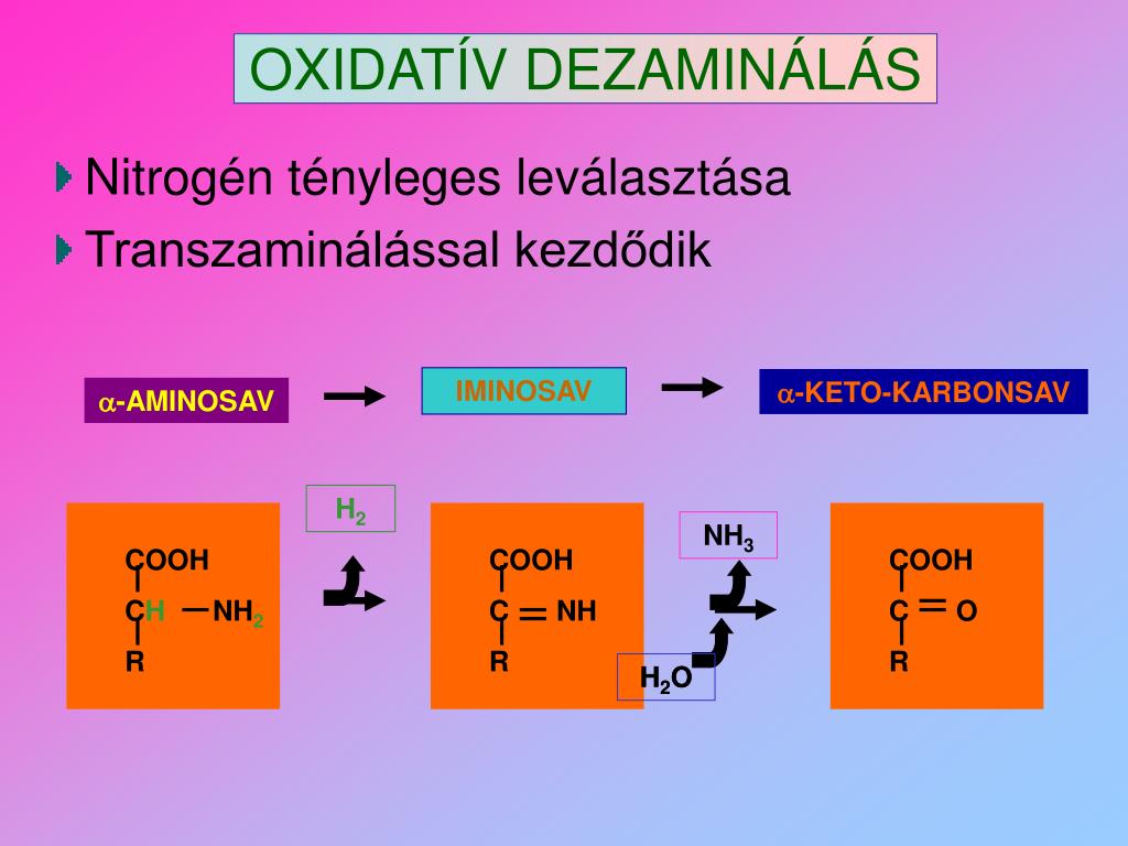 aszpartát