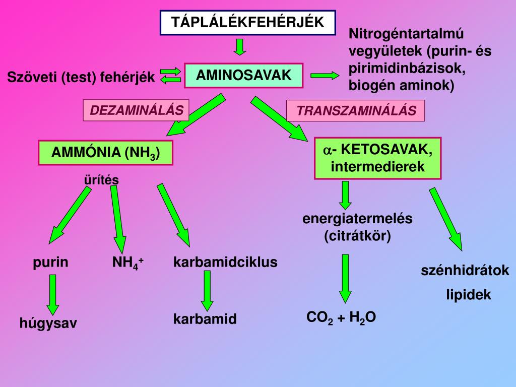 aszpartát