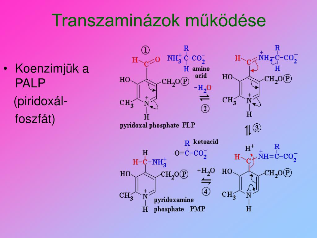 aszpartát