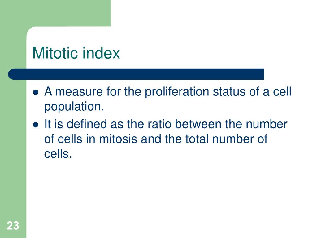 Mitotic Cell Division PowerPoint Presentation, free download Biology Diagrams