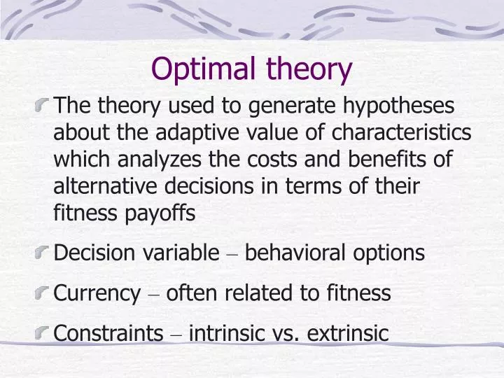 optimal theory n.