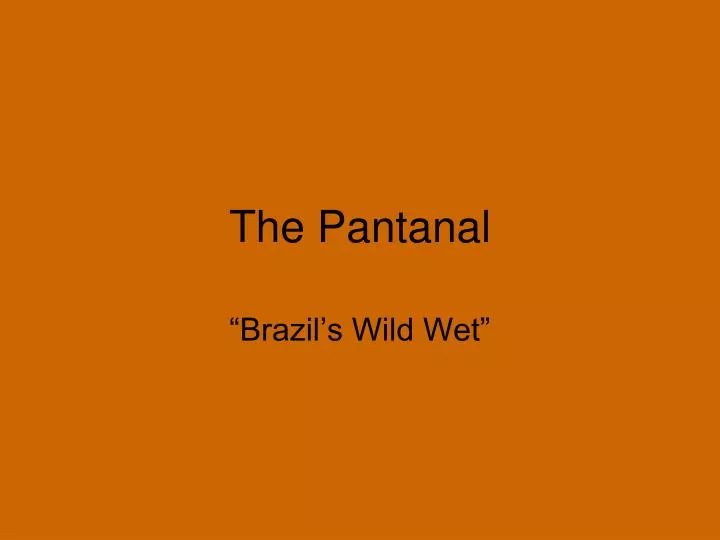 the pantanal n.