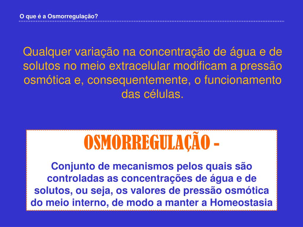 PPT - A OSMORREGULAÇÃO PowerPoint Presentation, free download - ID:1364721
