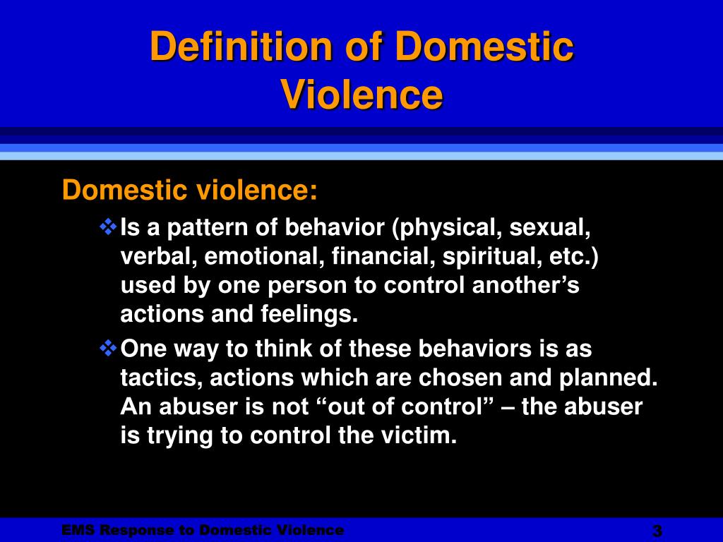 domestic violence means