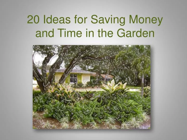 20 ideas for saving m oney and time in the garden n.
