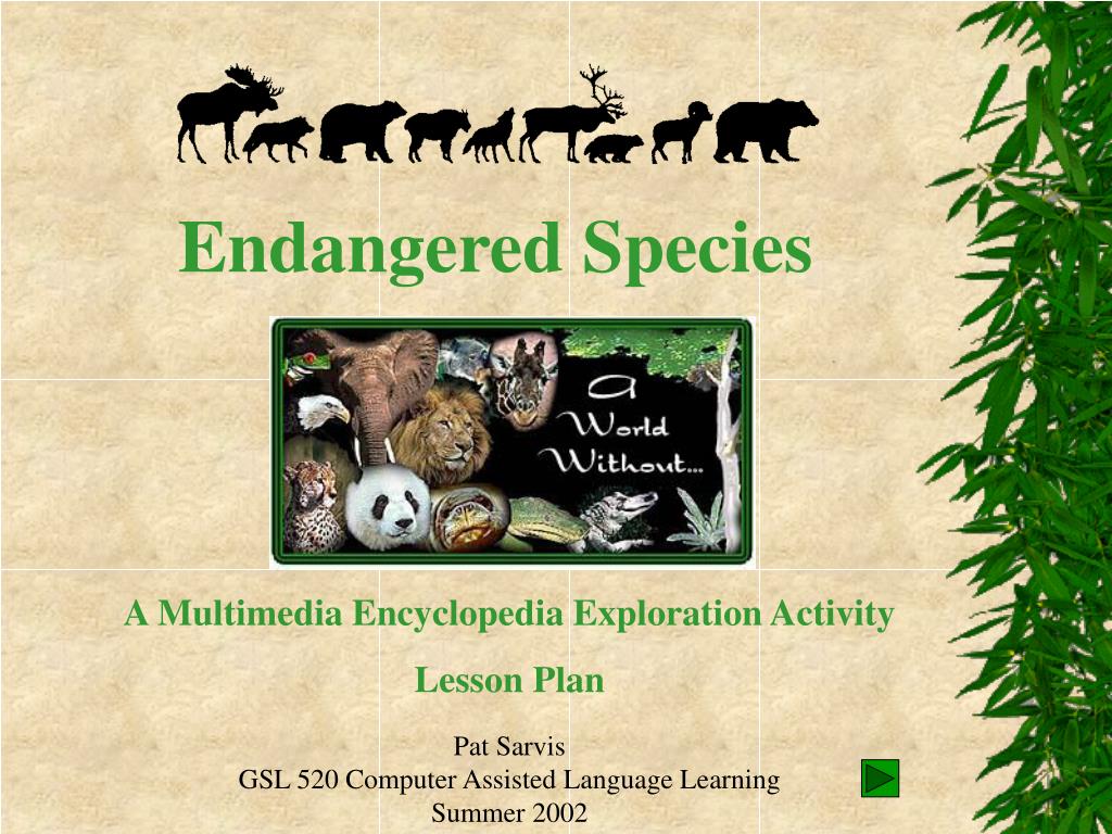 PPT - Endangered Species PowerPoint Presentation, free download - ID:1367152