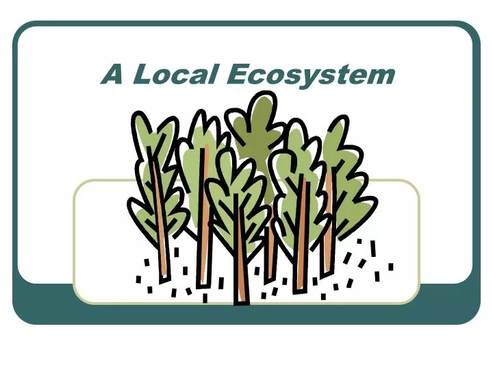 a local ecosystem n.