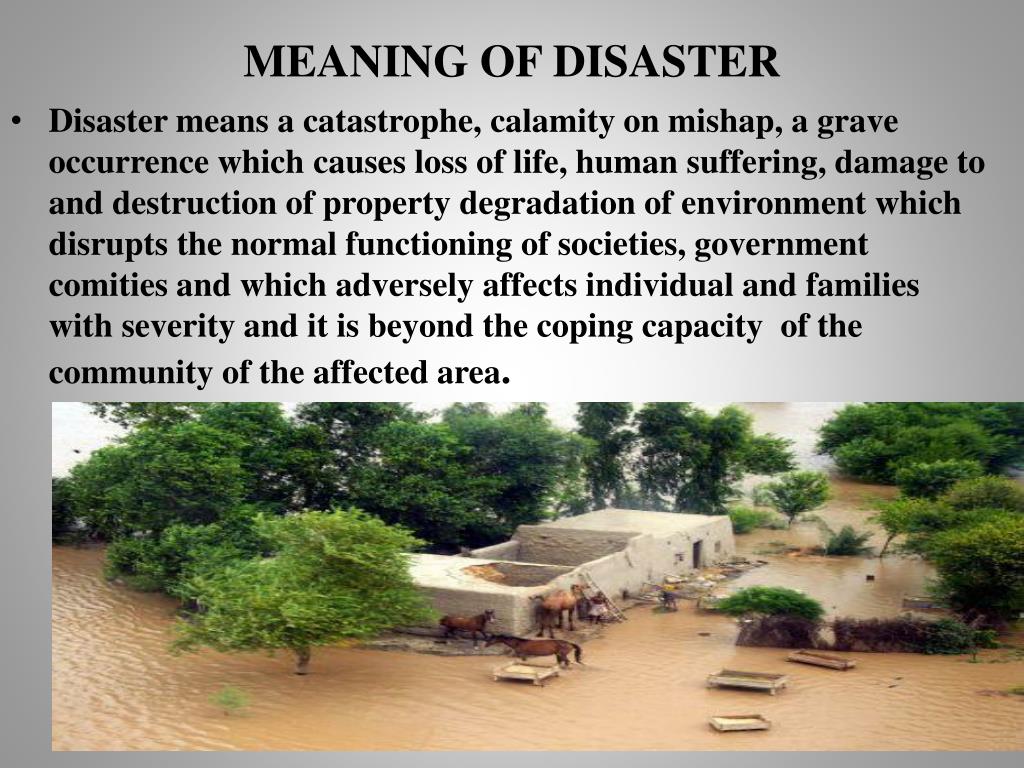 PPT - ROLE OF COMMUNITY HEALTH NURSE IN DISASTER MANAGEMENT PowerPoint