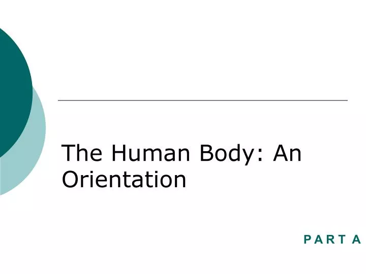 the human body an orientation n.