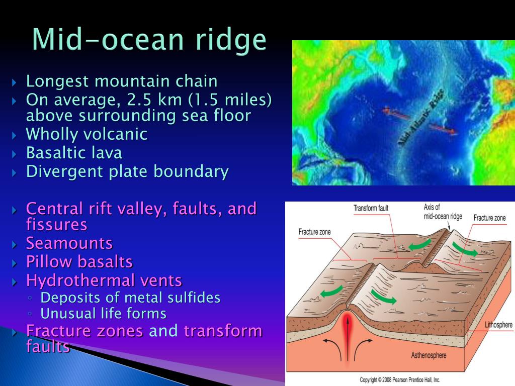 PPT - Introduction to Marine Provinces and the Ocean Floor PowerPoint