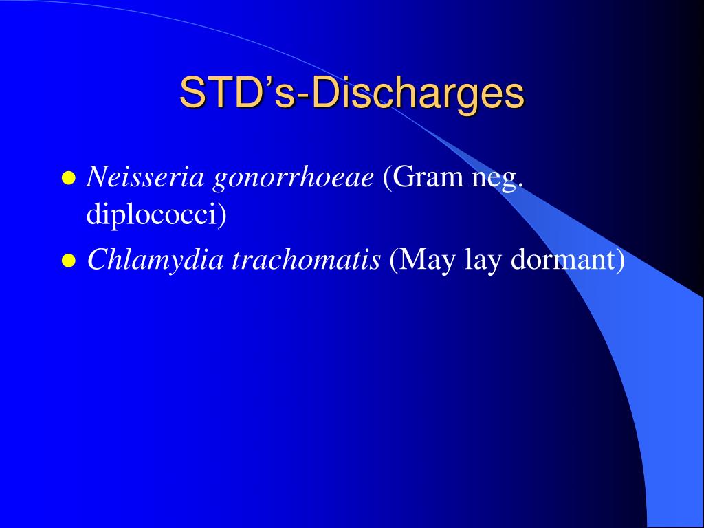 Chlamydia trachomatis neisseria gonorrhoeae. Diplococci in pairs.
