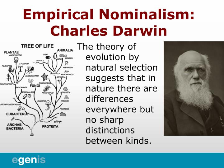 PPT - Philosophy of Classification PowerPoint Presentation - ID:1378589