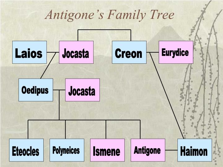 arbre-genealogique-de-antigone
