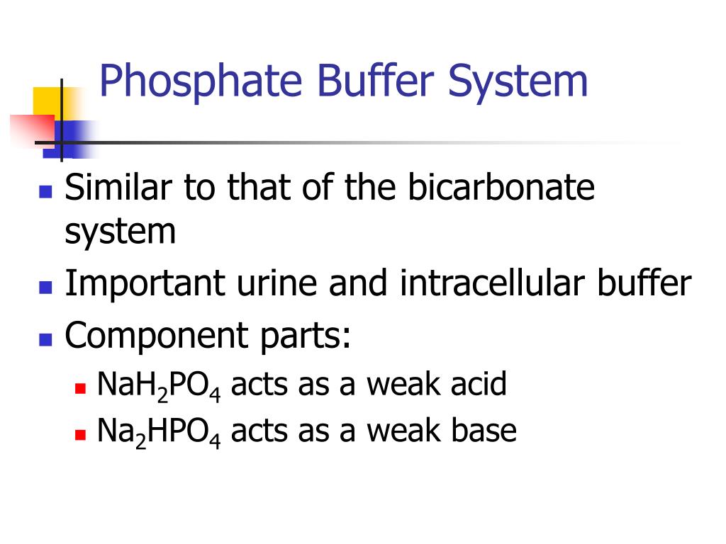 PPT Fluids and Electrolytes PowerPoint Presentation, free download ID1379896