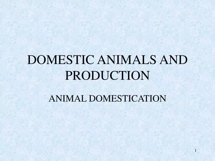 PPT - DOMESTIC ANIMALS AND PRODUCTION PowerPoint Presentation, free  download - ID:138112