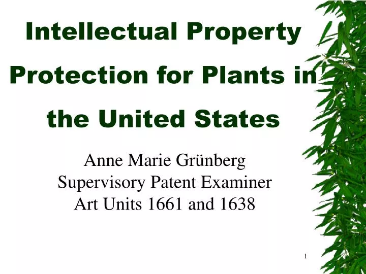 intellectual property protection for plants in the united states n.