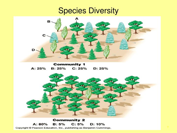 ppt-species-abundance-and-diversity-powerpoint-presentation-id-138148