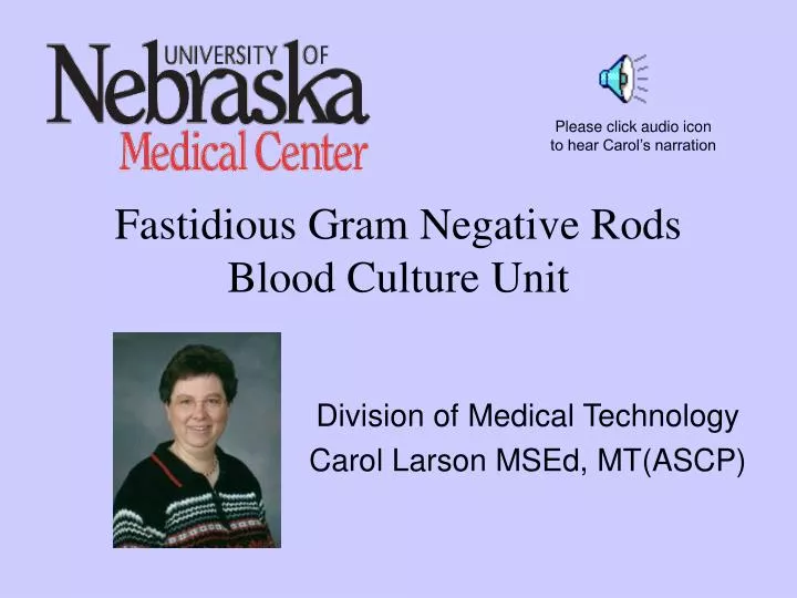 gram negative rods blood culture