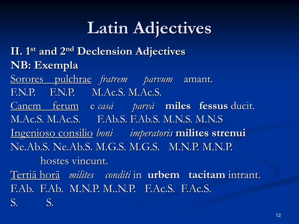 ppt-latin-adjectives-powerpoint-presentation-free-download-id-1382829