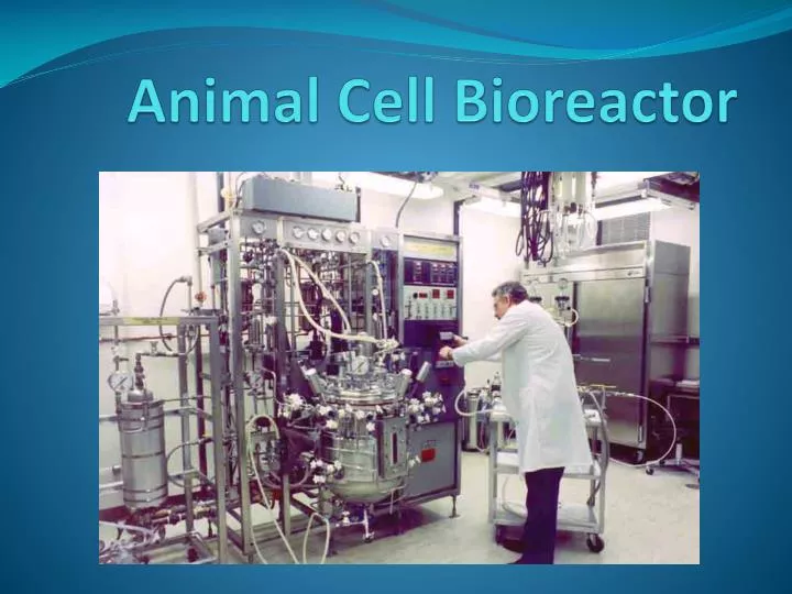animal cell bioreactor n.