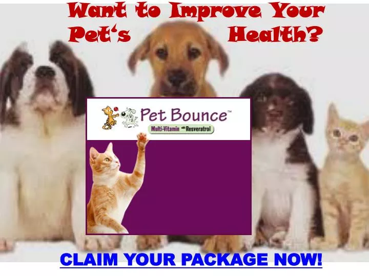 want to improve your pet s health n.