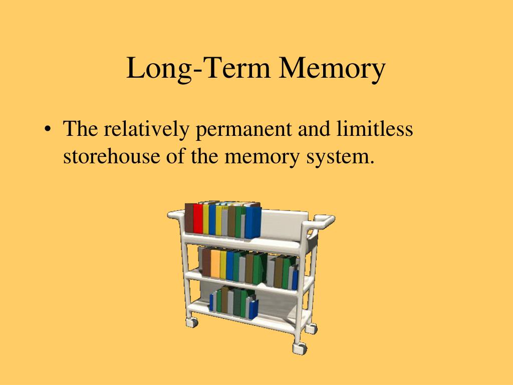 The Relatively Permanent And Limitless Storehouse Of The Memory System PPT - Name the Seven Dwarves PowerPoint Presentation, free download