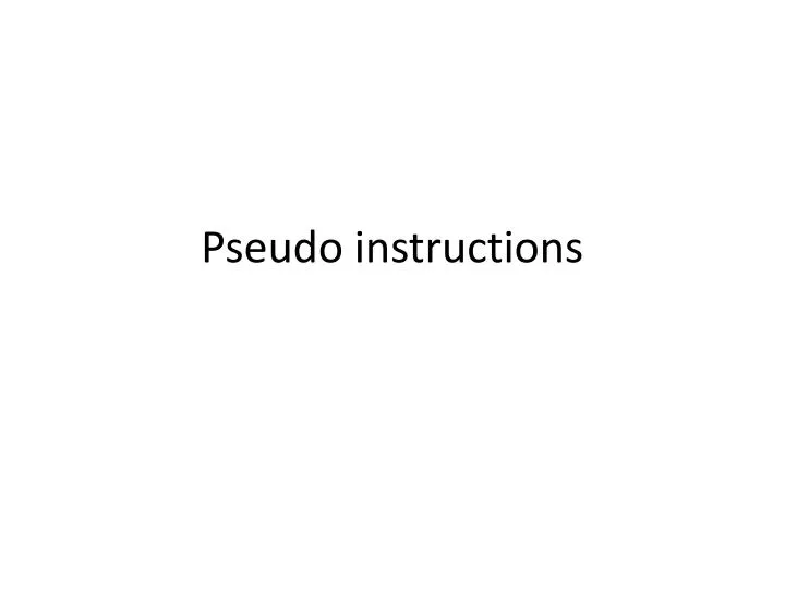 pseudo instructions n.
