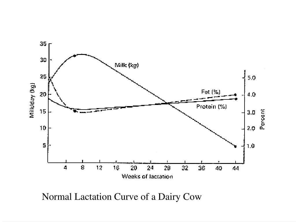 PPT Anatomy And Lactation Physiology PowerPoint Presentation Free PPT Anatomy And Lactation Physiology PowerPoint Presentation Free