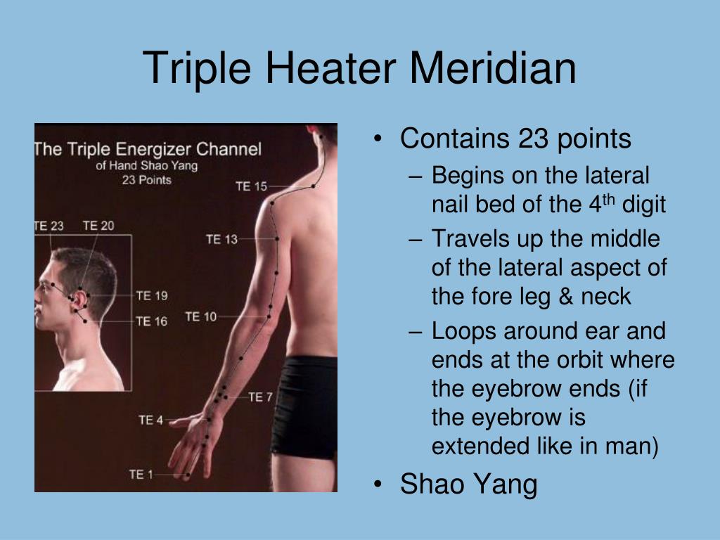 Triple Heater Meridian Chart