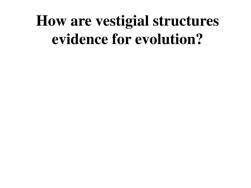 download free vestigial structures download free vestigial structures