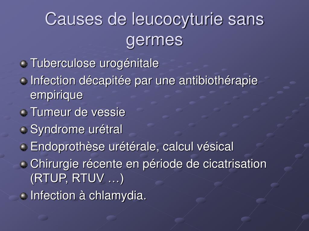 PPT - Infections génito-urinaires PowerPoint Presentation, free ...