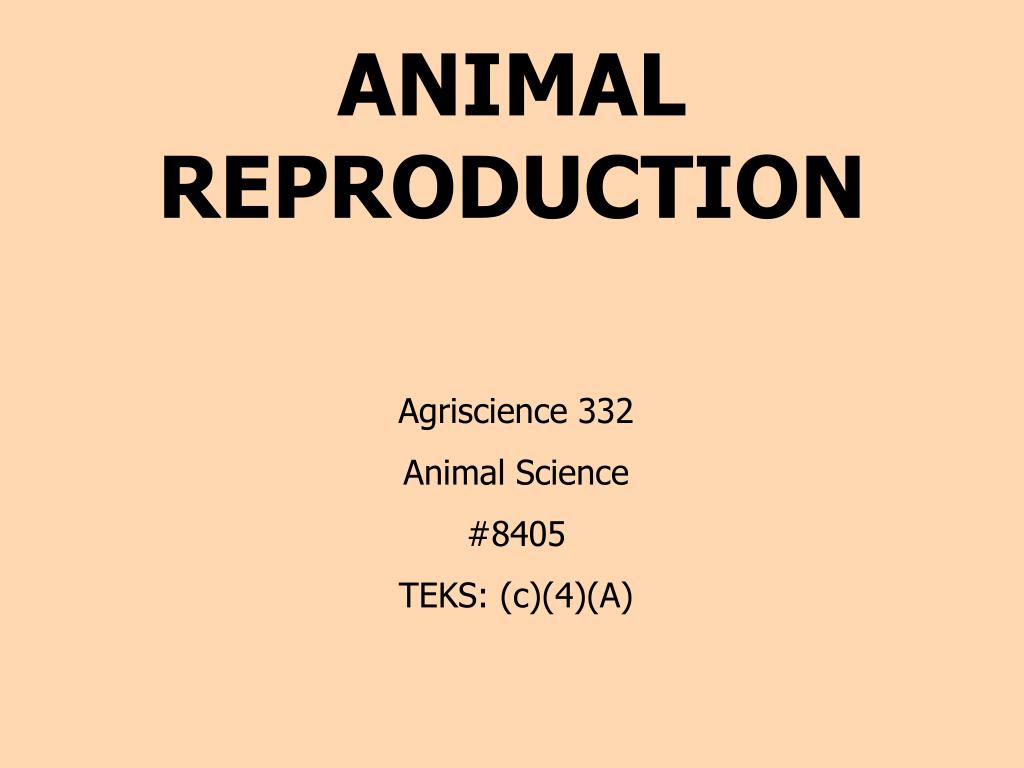 PPT - ANIMAL REPRODUCTION PowerPoint Presentation, free download - ID ...