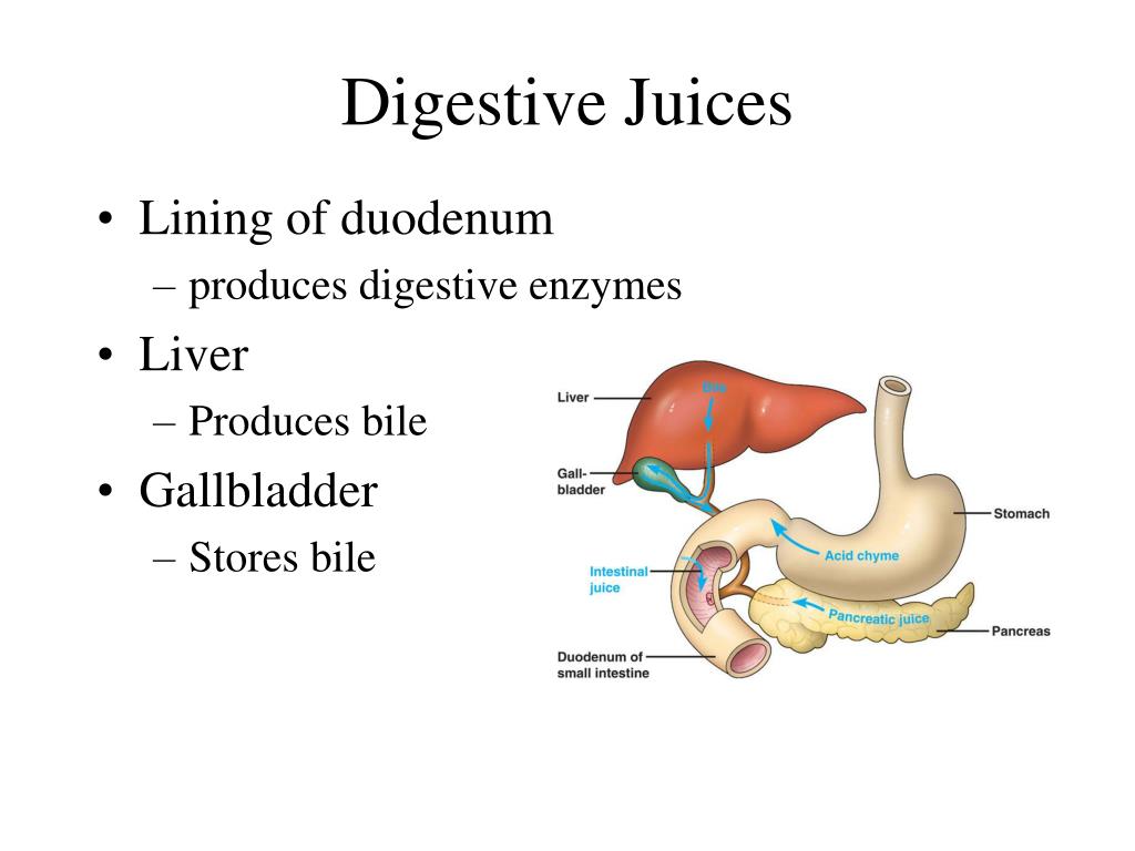 PPT Digestion PowerPoint Presentation, free download ID1391008