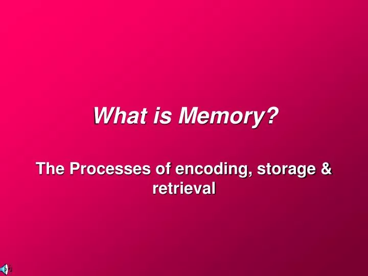 what is memory n.