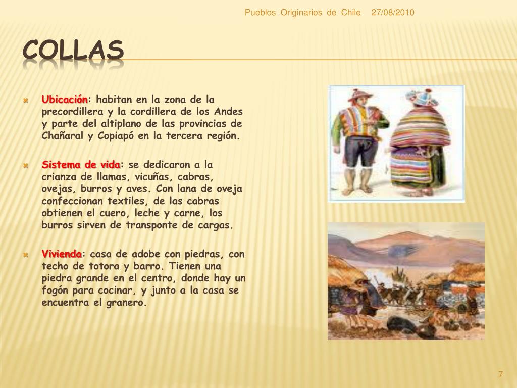 Kolla Pueblos Originarios De Chile Ser Indigena Kulturaupice