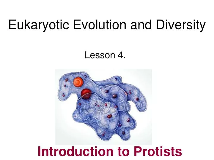 eukaryotic evolution and diversity n.