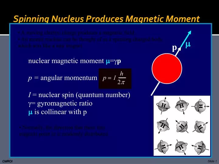 spinning nucleus produces magnetic moment n.