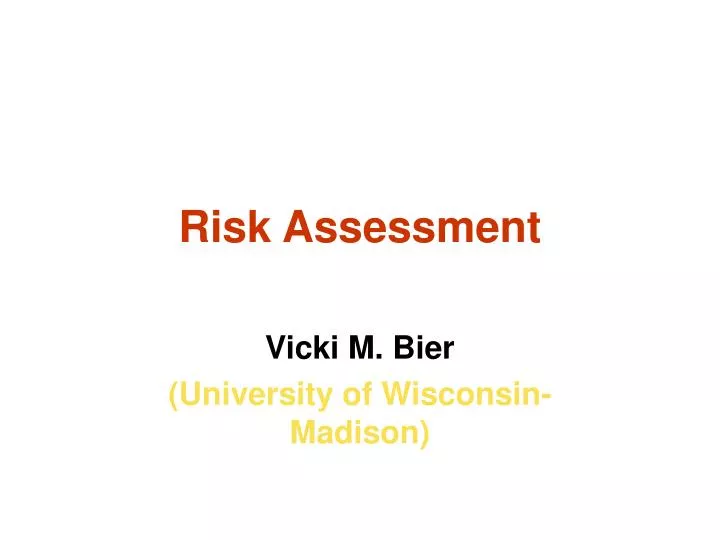risk assessment n.