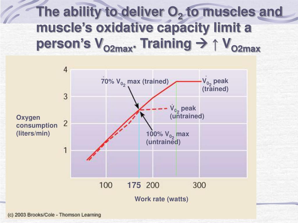 Ppt Exercise Physiology Powerpoint Presentation Free Download