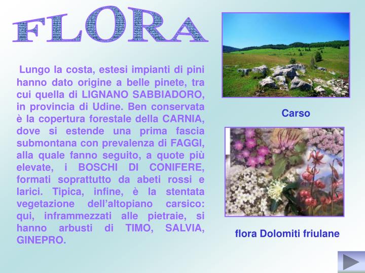 PPT - FRIULI VENEZIA GIULIA PowerPoint Presentation - ID:1395097