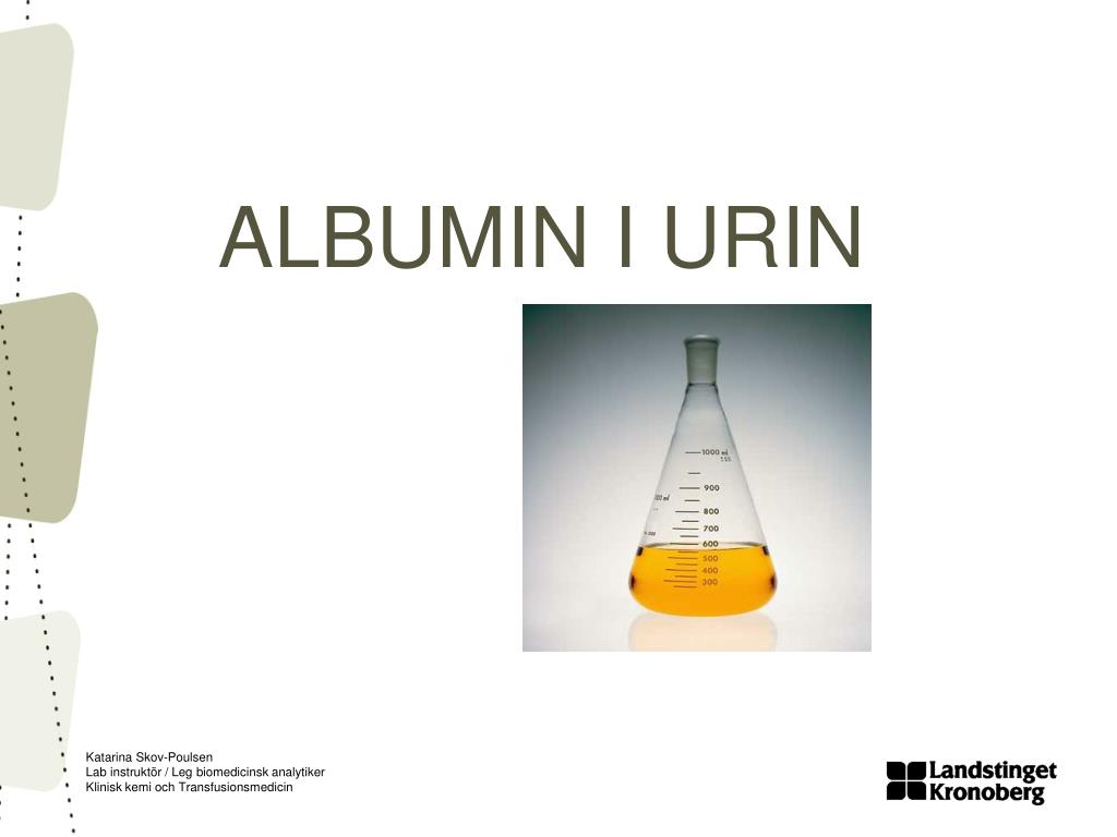 albumin i urin.