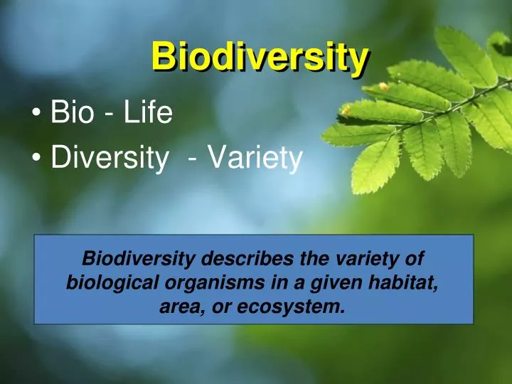 Ppt Biodiversity Powerpoint Presentation Free Download Id 1395884